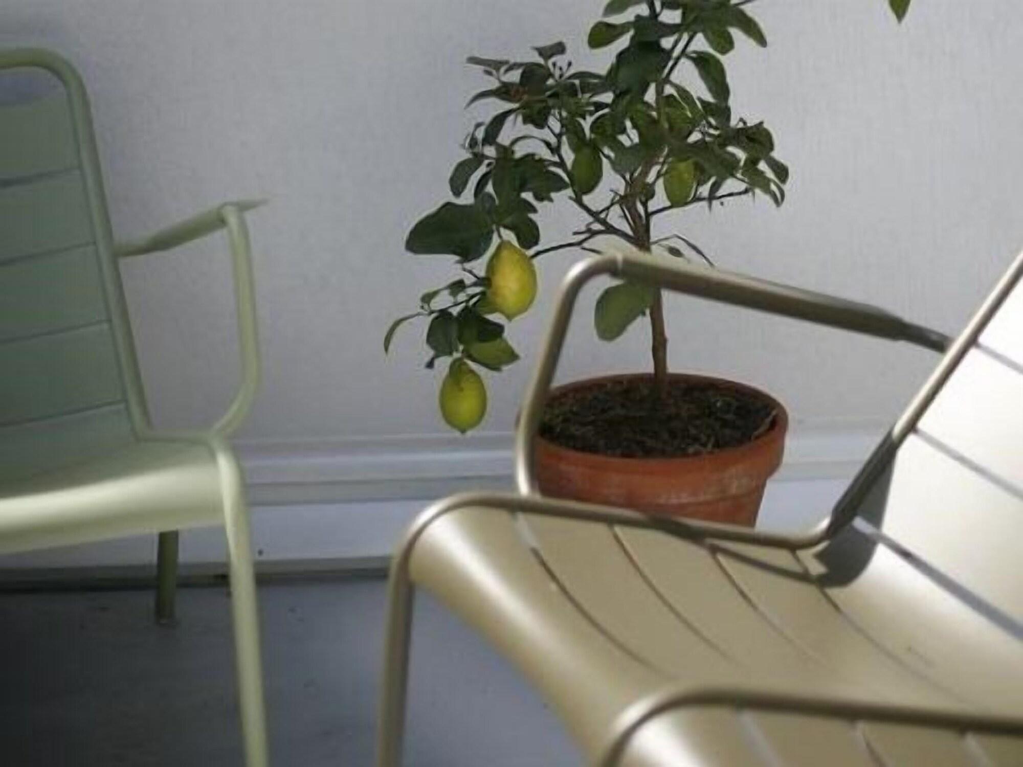 Les 4 Etoiles Bed & Breakfast Montpellier Exterior photo